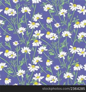 Seamless pattern with wild flowers field daisies