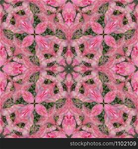 Seamless square flower pattern. Tender pink color. Seamless square background. Pink color