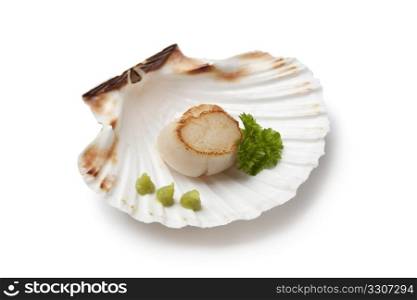 Seared scallop served in a shell with wasabi on white background