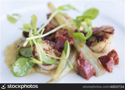 Seared scallops and chorizo sausage with watercress on a white plate