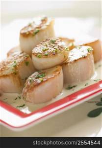 Seared Scallops with Cava Cream and Herb Sauce