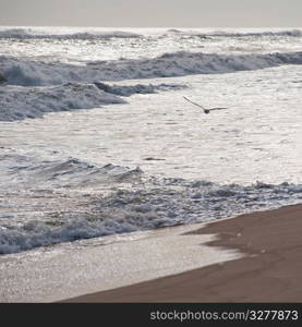 Seascape along shoreline at The Hamptons, New York