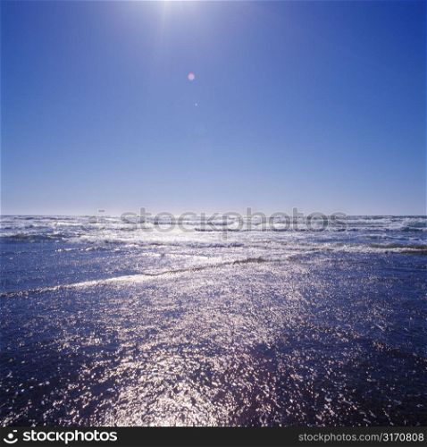 Seascape in Bright Sunlight