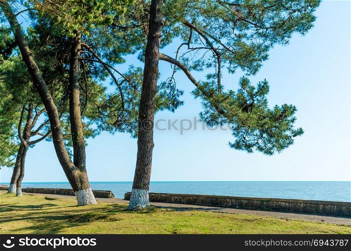 Seascape panorama of Black Sea. Nature panoramic background