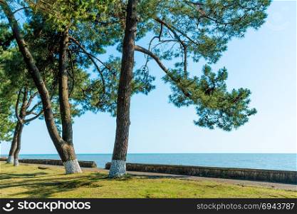 Seascape panorama of Black Sea. Nature panoramic background