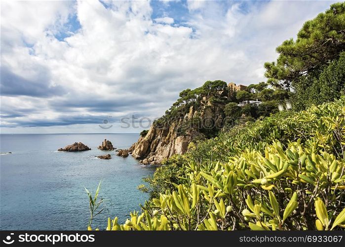 Seascape. Rocky shore with green vegetation and rock fragments in the sea
