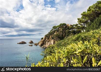Seascape. Rocky shore with green vegetation and rock fragments in the sea