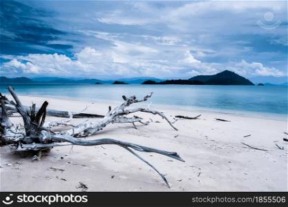 Seascape view of the logs beach with tropical islands in the blue sea. Empty beach in monsoon season. Japanese Islands, Ranong, Thailand. Focus on logs.