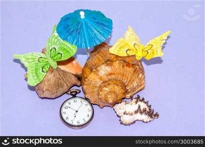 Seashell and hours of time to assemble in summer vacation