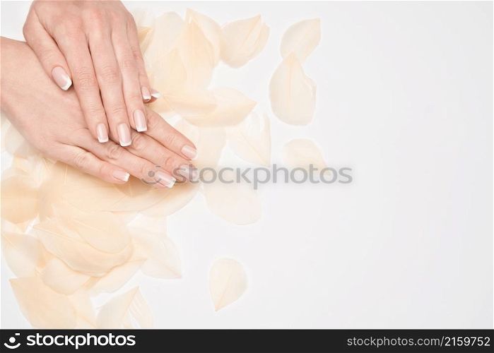 Seashell collection isolated on white background