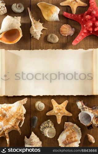 seashell on wooden background. seashell on wooden background texture