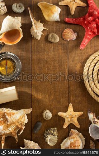 seashell on wooden background. seashell on wooden background texture