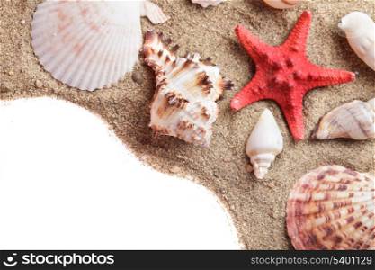 Seashells on the sand as a backgorund