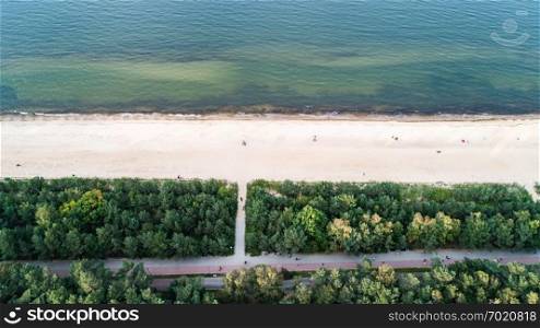 Seashore and green trees from top view. Autumn in Poland, Baltic Sea.. Seashore and green trees from top view.
