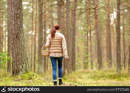 season and leisure people concept - young woman with mushrooms in basket walking along autumn forest. young woman picking mushrooms in autumn forest