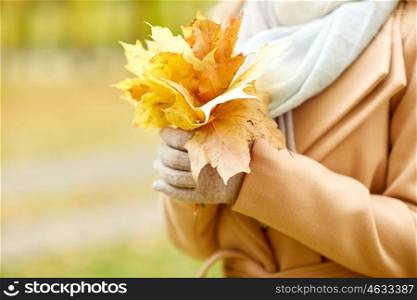 season and people concept - close up of woman holding maple leaves in autumn park. close up of woman with maple leaves in autumn park