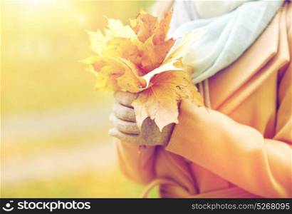 season and people concept - close up of woman holding maple leaves in autumn park. close up of woman with maple leaves in autumn park