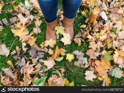 season and people concept - female feet in boots with autumn leaves on ground. female feet in boots and autumn leaves