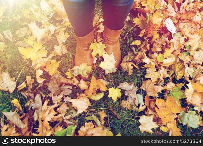 season and people concept - female feet in boots with autumn leaves on ground. female feet in boots and autumn leaves
