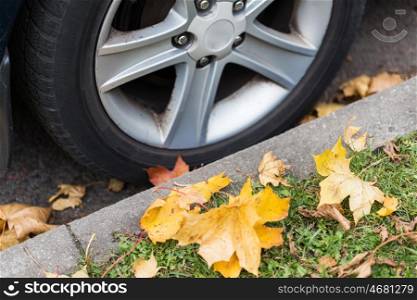 season and transport concept - close up of car wheel and autumn leaves. close up of car wheel and autumn leaves
