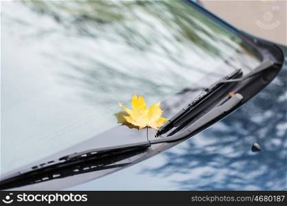 season and transport concept - close up of car wipers with autumn maple leaf on windshield. close up of car wipers with autumn maple leaf