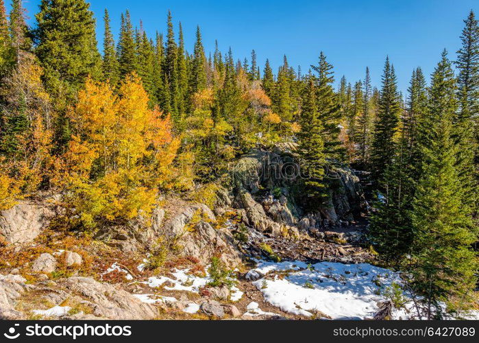 Season changing, first snow and autumn aspen trees in Rocky Mountain National Park, Colorado, USA.