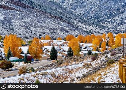 Season changing, first snow and autumn trees. Rocky Mountains, Colorado, USA. 