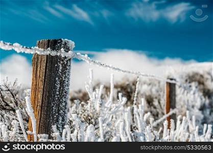 Season changing, landscape with hoarfrost on the fence