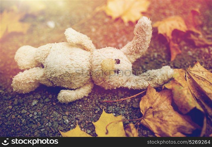 season, childhood and loneliness concept - lonely toy rabbit and autumn leaves on road or ground. toy rabbit and autumn leaves on road or ground