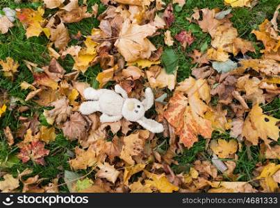 season, childhood and loneliness concept - lonely toy rabbit in fallen autumn leaves