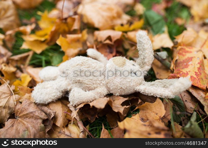 season, childhood and loneliness concept - lonely toy rabbit in fallen autumn leaves