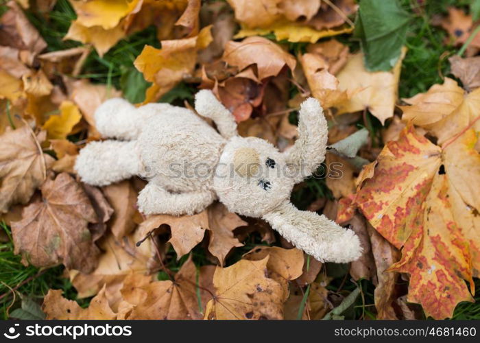 season, childhood and loneliness concept - lonely toy rabbit in fallen autumn leaves