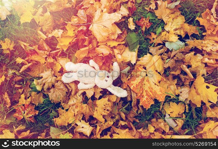 season, childhood and loneliness concept - lonely toy rabbit in fallen autumn leaves. toy rabbit in fallen autumn leaves