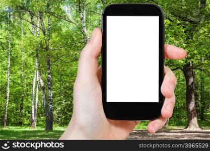 season concept - naturalist photographs oak and birch trees in forest clearing in summer day on smartphone with cut out screen with blank place for advertising
