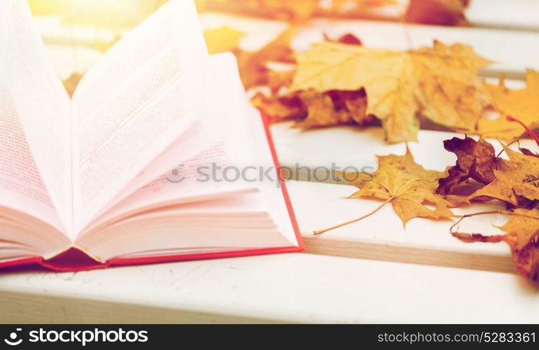 season, education and literature concept - open book and autumn leaves on park bench. open book and autumn leaves on park bench