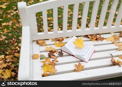 season, education and literature concept - open book on bench in autumn park