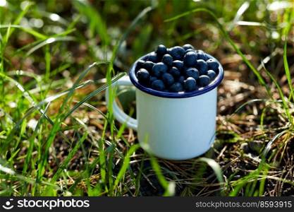 season, gardening and harvesting concept - ripe blueberries in c&mug on grass. ripe blueberries in c&mug on grass