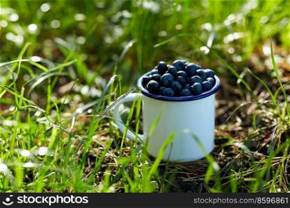 season, gardening and harvesting concept - ripe blueberries in c&mug on grass. ripe blueberries in c&mug on grass