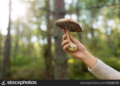 season, nature and leisure concept - close up of female hand holding mushroom in forest. close up of female hand with mushroom in forest