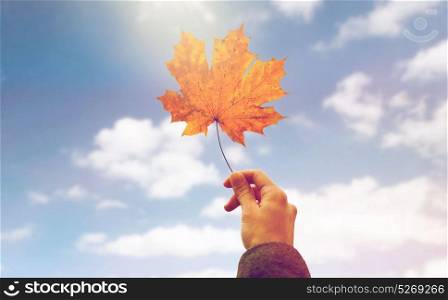 season, nature and people concept - close up of woman hand holding autumn maple leaves over blue sky background. close up of woman hands with autumn maple leaves