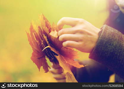 season, nature and people concept - close up of woman hands with autumn maple leaves. close up of woman hands with autumn maple leaves