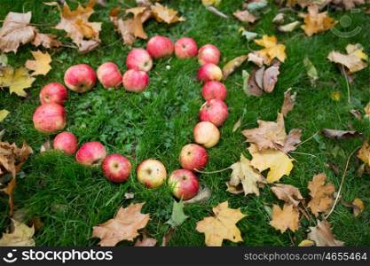 season, nature, love, valentines day and environment concept - apples in heart shape and autumn leaves on grass