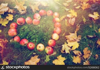 season, nature, love, valentines day and environment concept - apples in heart shape and autumn leaves on grass. apples in heart shape and autumn leaves on grass