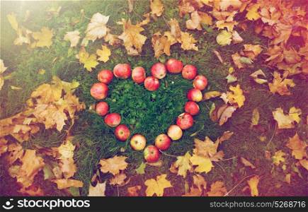 season, nature, love, valentines day and environment concept - apples in heart shape and autumn leaves on grass. apples in heart shape and autumn leaves on grass