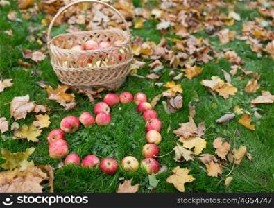 season, nature, love, valentines day and environment concept - apples in wicker basket and heart shape with autumn leaves on grass