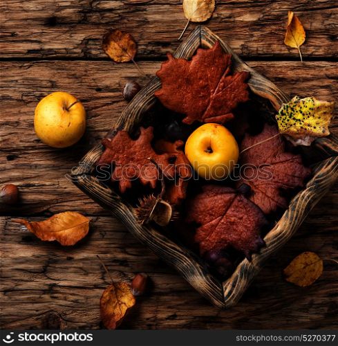 Seasonal autumn cookies. Autumn background.Pastry autumn in the form of a leaf