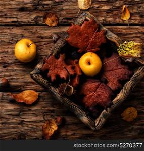 Seasonal autumn cookies. Autumn background.Pastry autumn in the form of a leaf