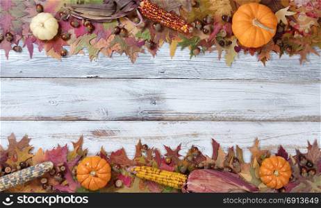 Seasonal Autumn decorations in upper and lower borders on rustic white wooden boards