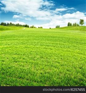 Seasonal backgrounds. Beauty summer field with green grass on the hills