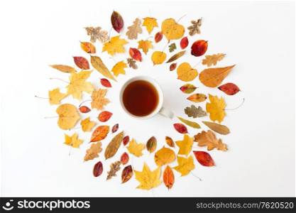 seasonal drinks concept - cup of black tea with frame of different dry autumn leaves on white background. cup of black tea and different dry autumn leaves